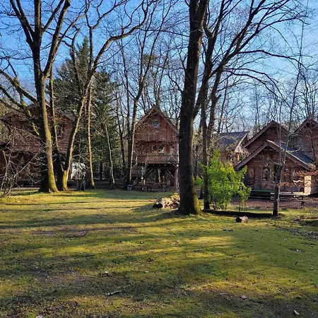 Wooden - Boomhut Op D'n Mastendol - Rijen, Brabant Rijen