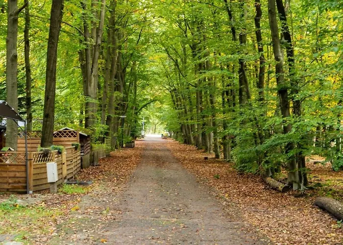 Wooden I Boomhut Op Recreatiepark Mastendol Rijen