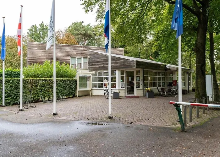 Wooden I Boomhut Op Recreatiepark Mastendol Rijen